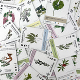 Reforest